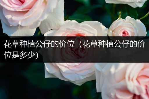 花草种植公仔的价位（花草种植公仔的价位是多少）