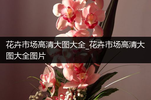 花卉市场高清大图大全_花卉市场高清大图大全图片