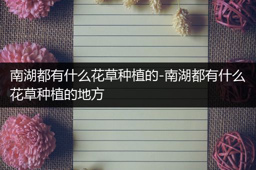 南湖都有什么花草种植的-南湖都有什么花草种植的地方