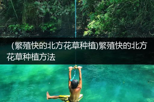 （繁殖快的北方花草种植)繁殖快的北方花草种植方法