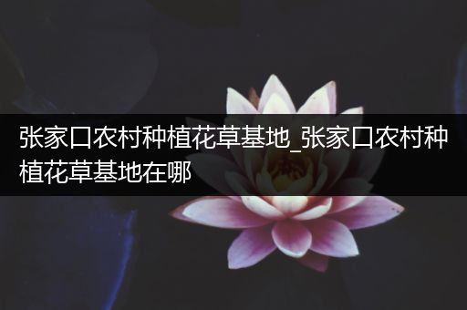 张家口农村种植花草基地_张家口农村种植花草基地在哪
