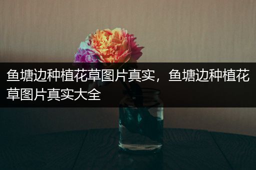 鱼塘边种植花草图片真实，鱼塘边种植花草图片真实大全