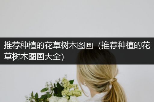 推荐种植的花草树木图画（推荐种植的花草树木图画大全）