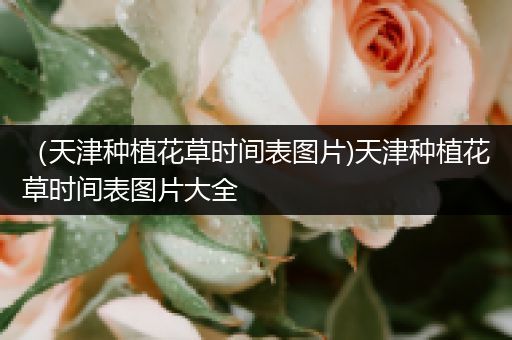 （天津种植花草时间表图片)天津种植花草时间表图片大全