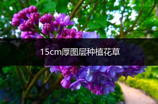 15cm厚图层种植花草
