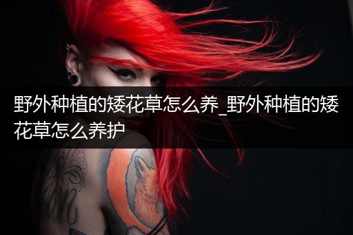 野外种植的矮花草怎么养_野外种植的矮花草怎么养护