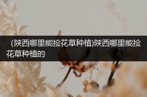 （陕西哪里能捡花草种植)陕西哪里能捡花草种植的