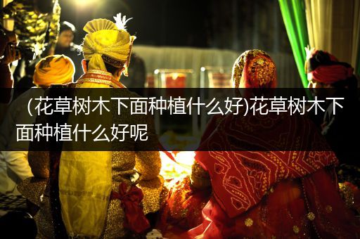 （花草树木下面种植什么好)花草树木下面种植什么好呢