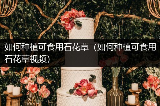 如何种植可食用石花草（如何种植可食用石花草视频）