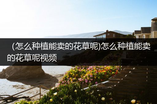 （怎么种植能卖的花草呢)怎么种植能卖的花草呢视频