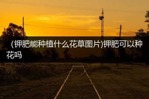 （钾肥能种植什么花草图片)钾肥可以种花吗