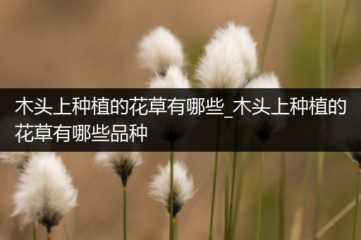 木头上种植的花草有哪些_木头上种植的花草有哪些品种