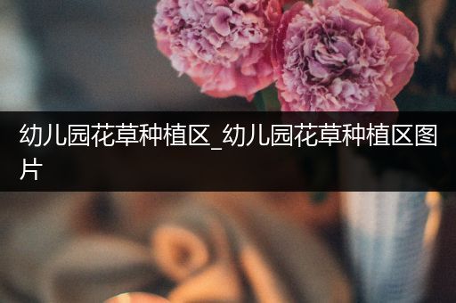 幼儿园花草种植区_幼儿园花草种植区图片
