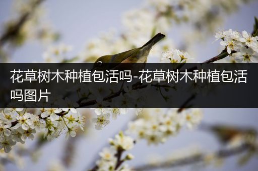 花草树木种植包活吗-花草树木种植包活吗图片