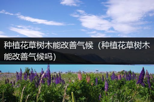 种植花草树木能改善气候（种植花草树木能改善气候吗）