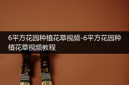 6平方花园种植花草视频-6平方花园种植花草视频教程