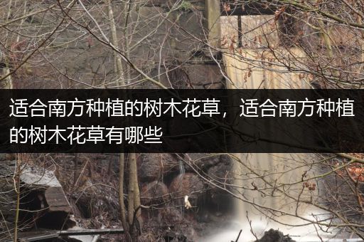 适合南方种植的树木花草，适合南方种植的树木花草有哪些