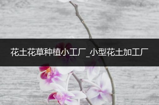 花土花草种植小工厂_小型花土加工厂