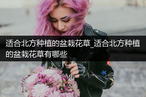 适合北方种植的盆栽花草_适合北方种植的盆栽花草有哪些