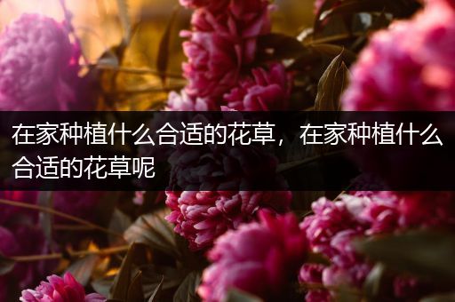 在家种植什么合适的花草，在家种植什么合适的花草呢