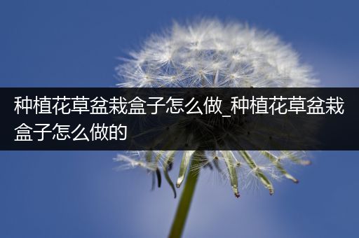 种植花草盆栽盒子怎么做_种植花草盆栽盒子怎么做的