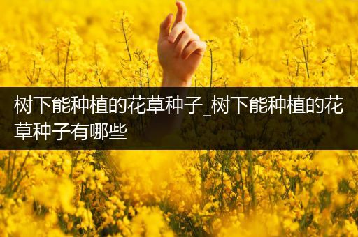 树下能种植的花草种子_树下能种植的花草种子有哪些