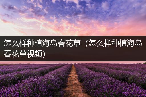 怎么样种植海岛春花草（怎么样种植海岛春花草视频）