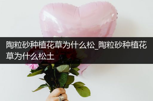 陶粒砂种植花草为什么松_陶粒砂种植花草为什么松土