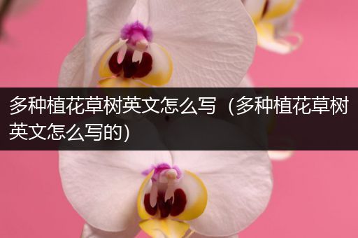 多种植花草树英文怎么写（多种植花草树英文怎么写的）