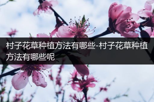 村子花草种植方法有哪些-村子花草种植方法有哪些呢