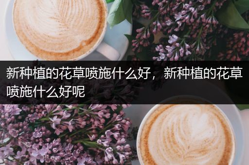 新种植的花草喷施什么好，新种植的花草喷施什么好呢