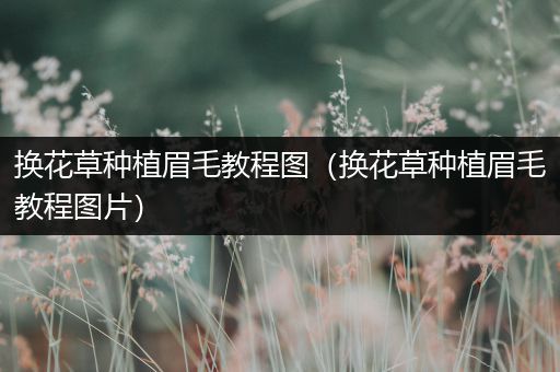 换花草种植眉毛教程图（换花草种植眉毛教程图片）