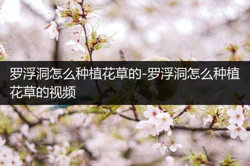 罗浮洞怎么种植花草的-罗浮洞怎么种植花草的视频