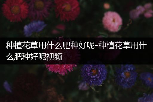 种植花草用什么肥种好呢-种植花草用什么肥种好呢视频