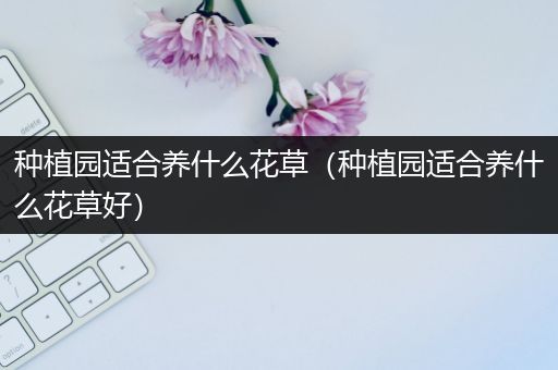 种植园适合养什么花草（种植园适合养什么花草好）
