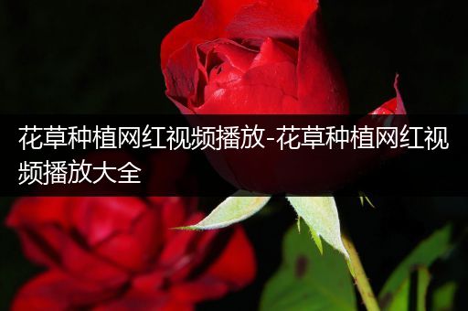 花草种植网红视频播放-花草种植网红视频播放大全