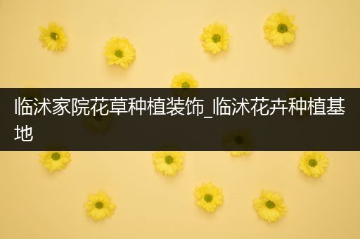 临沭家院花草种植装饰_临沭花卉种植基地