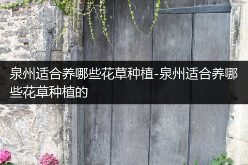 泉州适合养哪些花草种植-泉州适合养哪些花草种植的