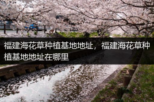福建海花草种植基地地址，福建海花草种植基地地址在哪里