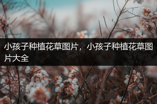 小孩子种植花草图片，小孩子种植花草图片大全
