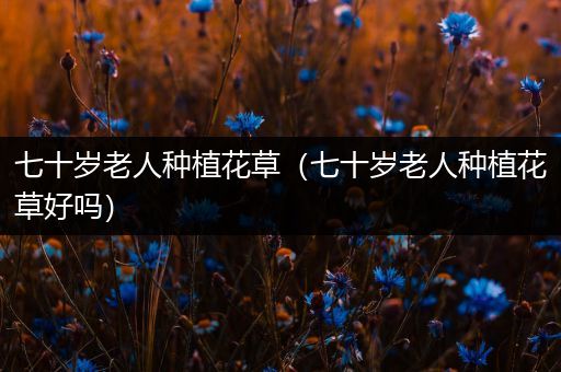 七十岁老人种植花草（七十岁老人种植花草好吗）