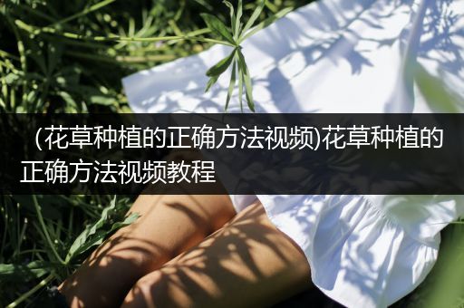 （花草种植的正确方法视频)花草种植的正确方法视频教程