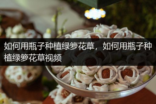 如何用瓶子种植绿箩花草，如何用瓶子种植绿箩花草视频