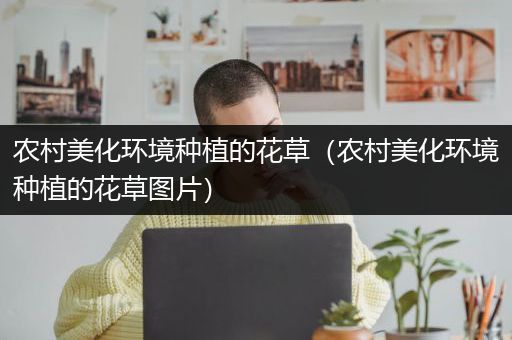 农村美化环境种植的花草（农村美化环境种植的花草图片）