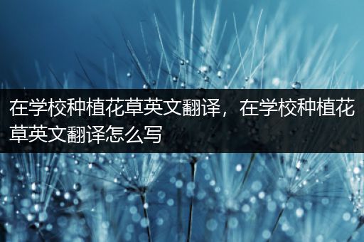 在学校种植花草英文翻译，在学校种植花草英文翻译怎么写
