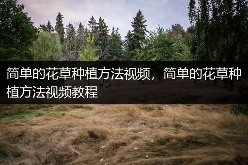 简单的花草种植方法视频，简单的花草种植方法视频教程