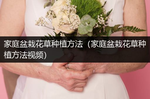家庭盆栽花草种植方法（家庭盆栽花草种植方法视频）