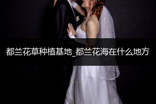 都兰花草种植基地_都兰花海在什么地方