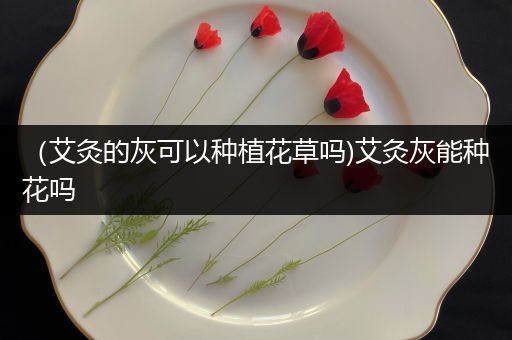（艾灸的灰可以种植花草吗)艾灸灰能种花吗
