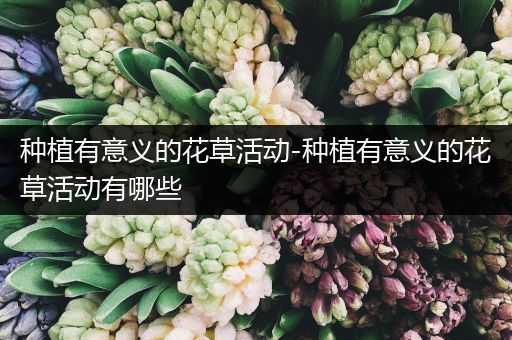 种植有意义的花草活动-种植有意义的花草活动有哪些